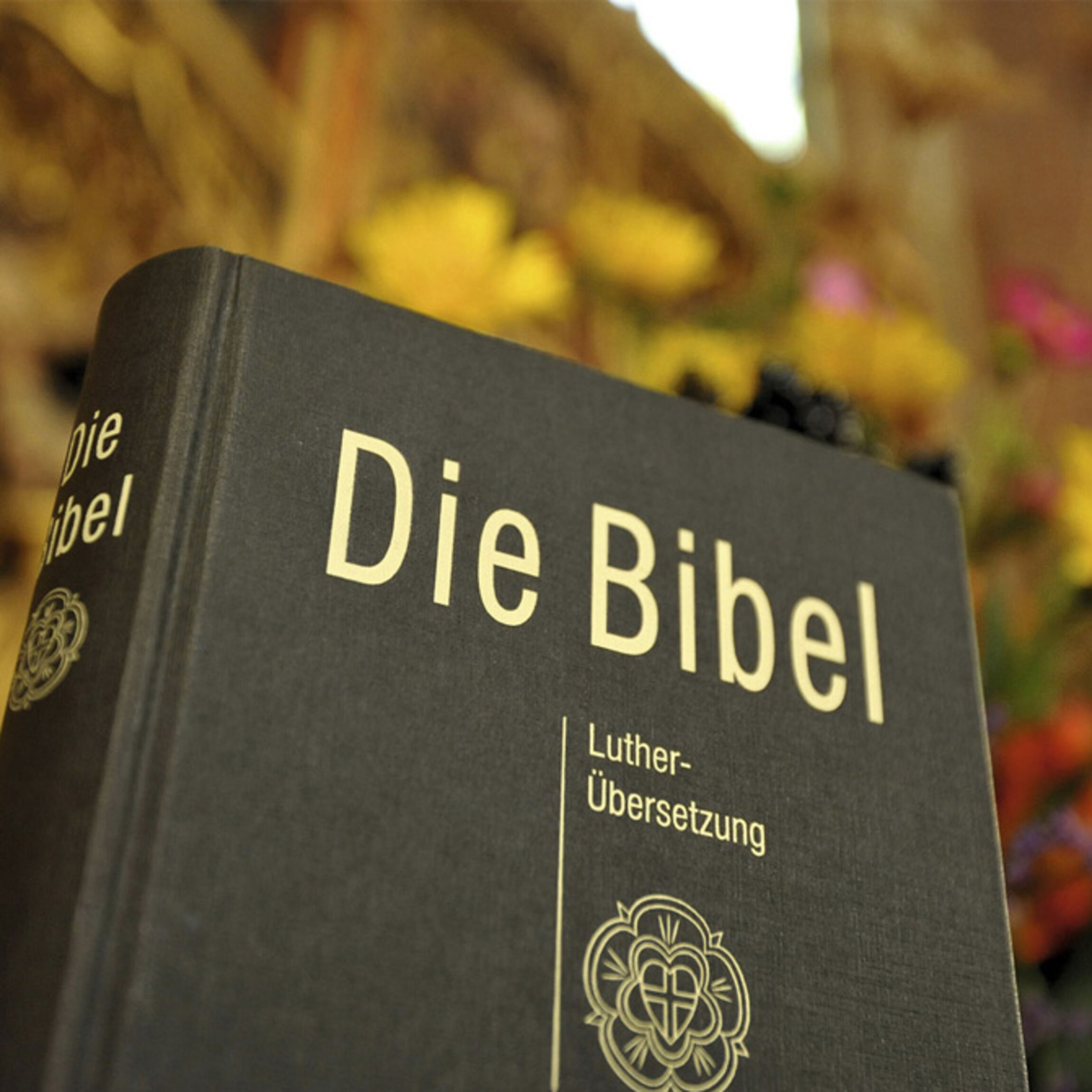 Bibelkreis